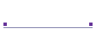 Web Cam